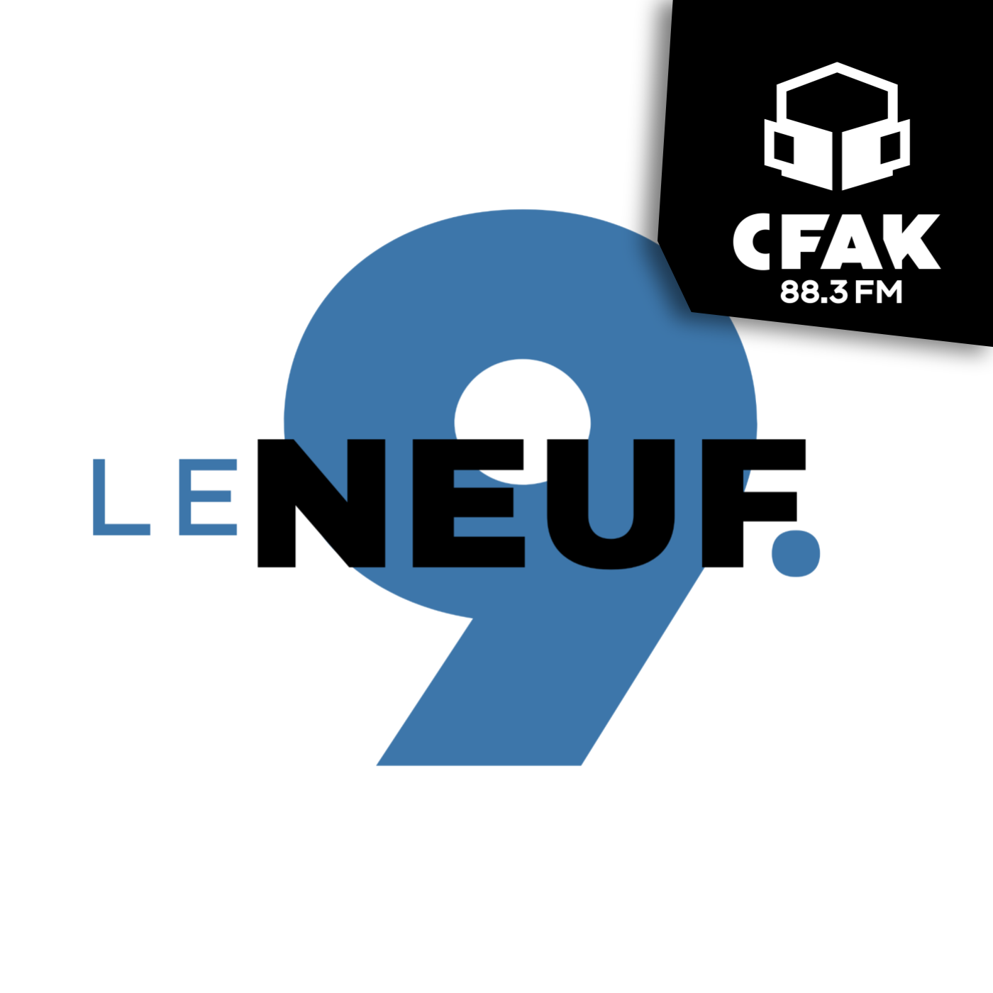 Le Neuf - LE R : Entre fait et réaction : Ukraine, Russie, Médias et Politique - 10 Mars 2025