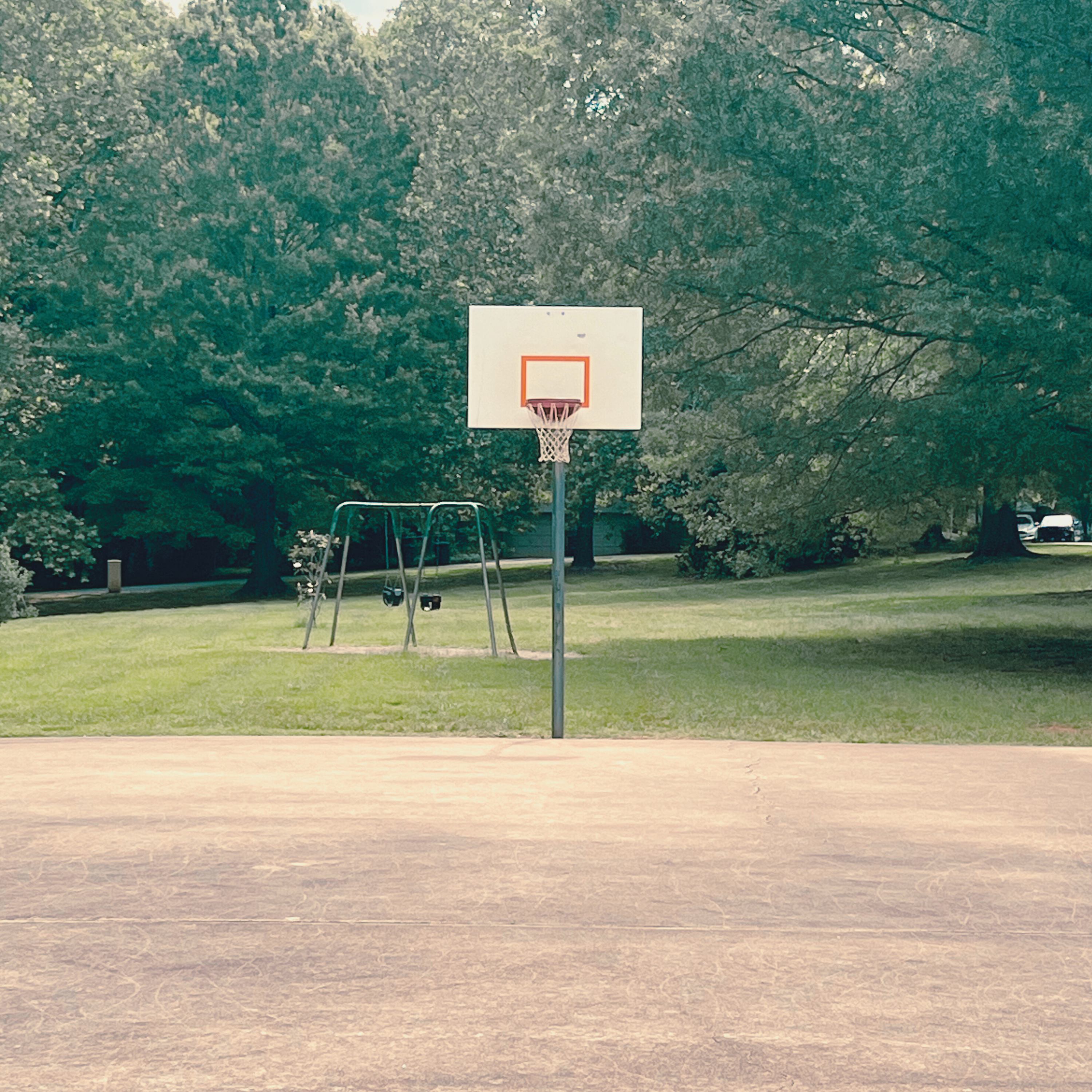 Playing Hoops in the Park