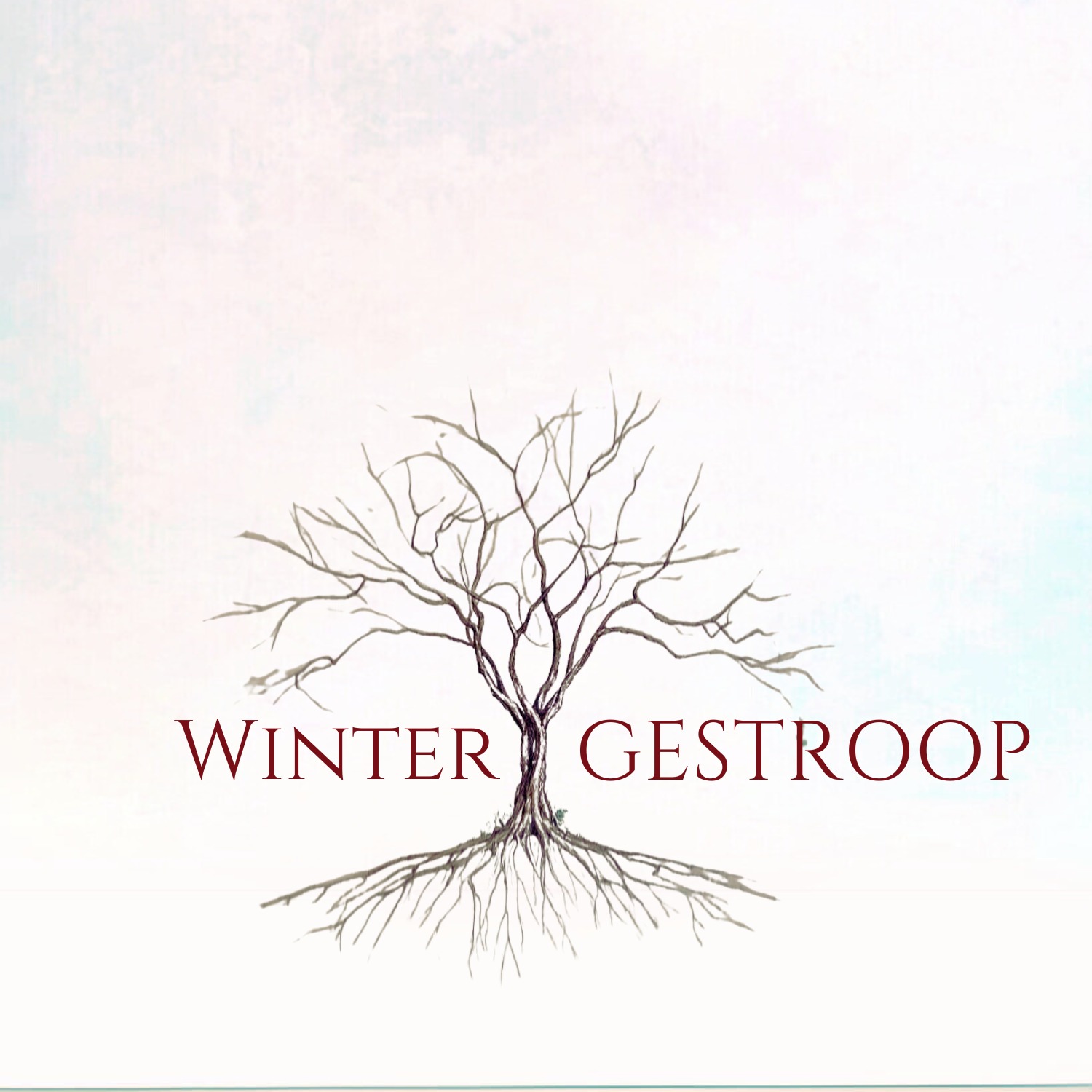 30 Junie 2024 || Winter | Gestroop || André Serfontein