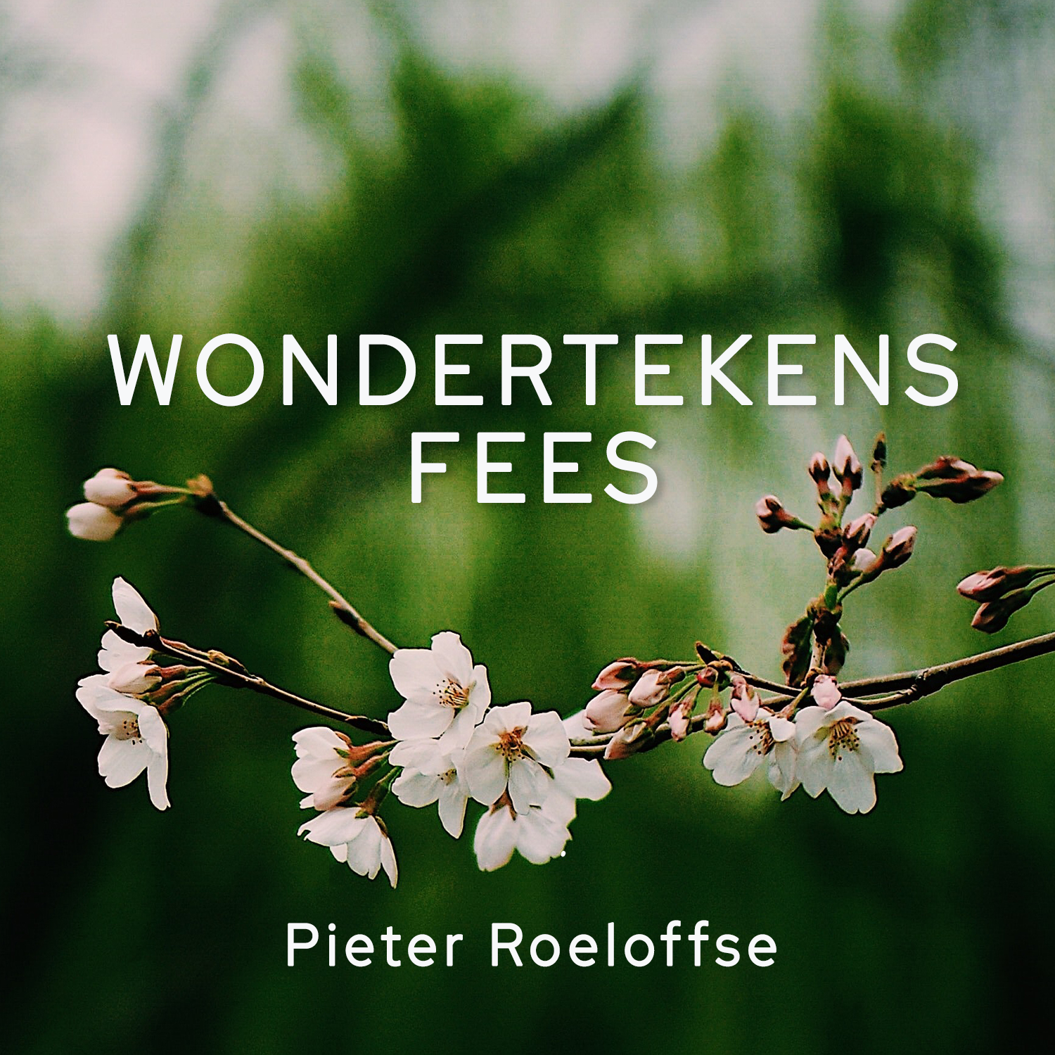 17 Oktober 2021 || Wondertekens - Fees || Pieter Roeloffse