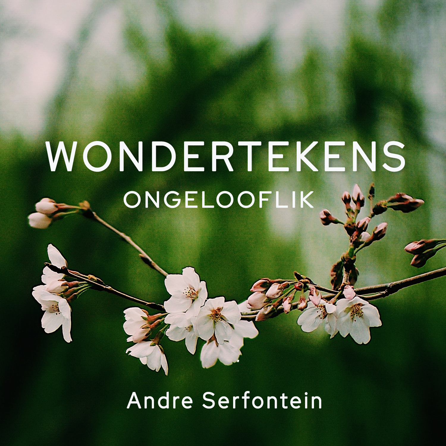 24 Oktober 2021 || Wondertekens - Ongelooflik || André Serfontein