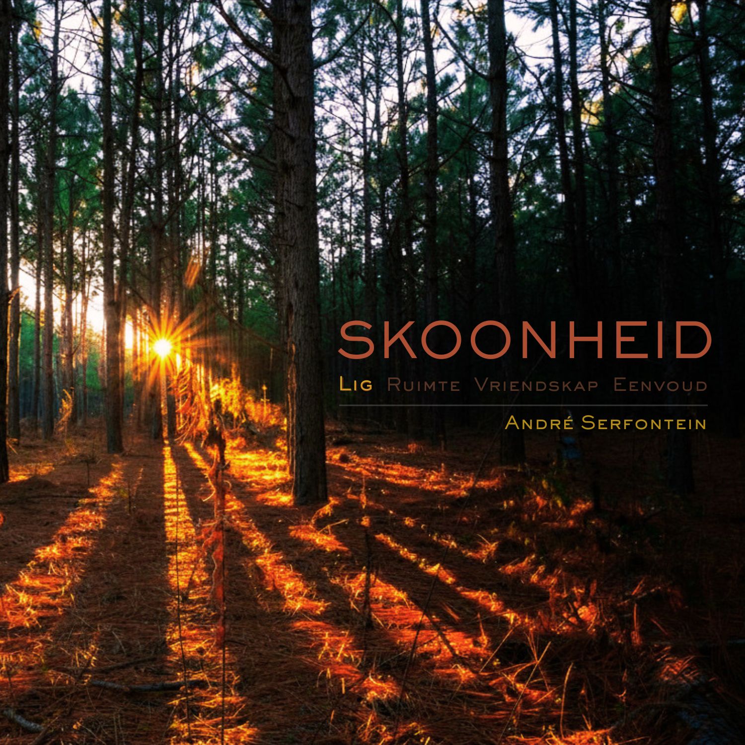 28 Junie 2026 || Skoonheid • Lig || André Serfontein