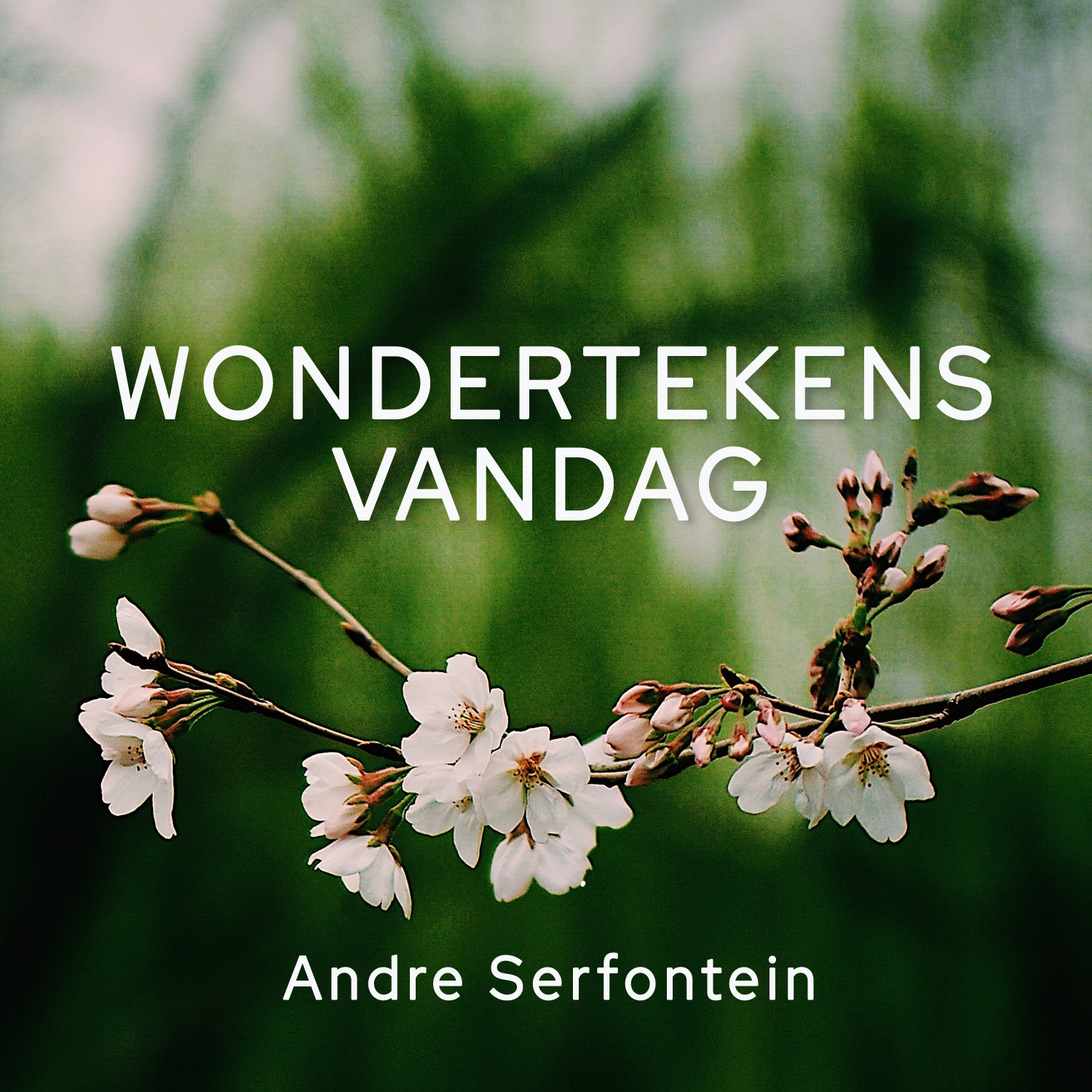 21 November 2021 || Wondertekens - Vandag || André Serfontein