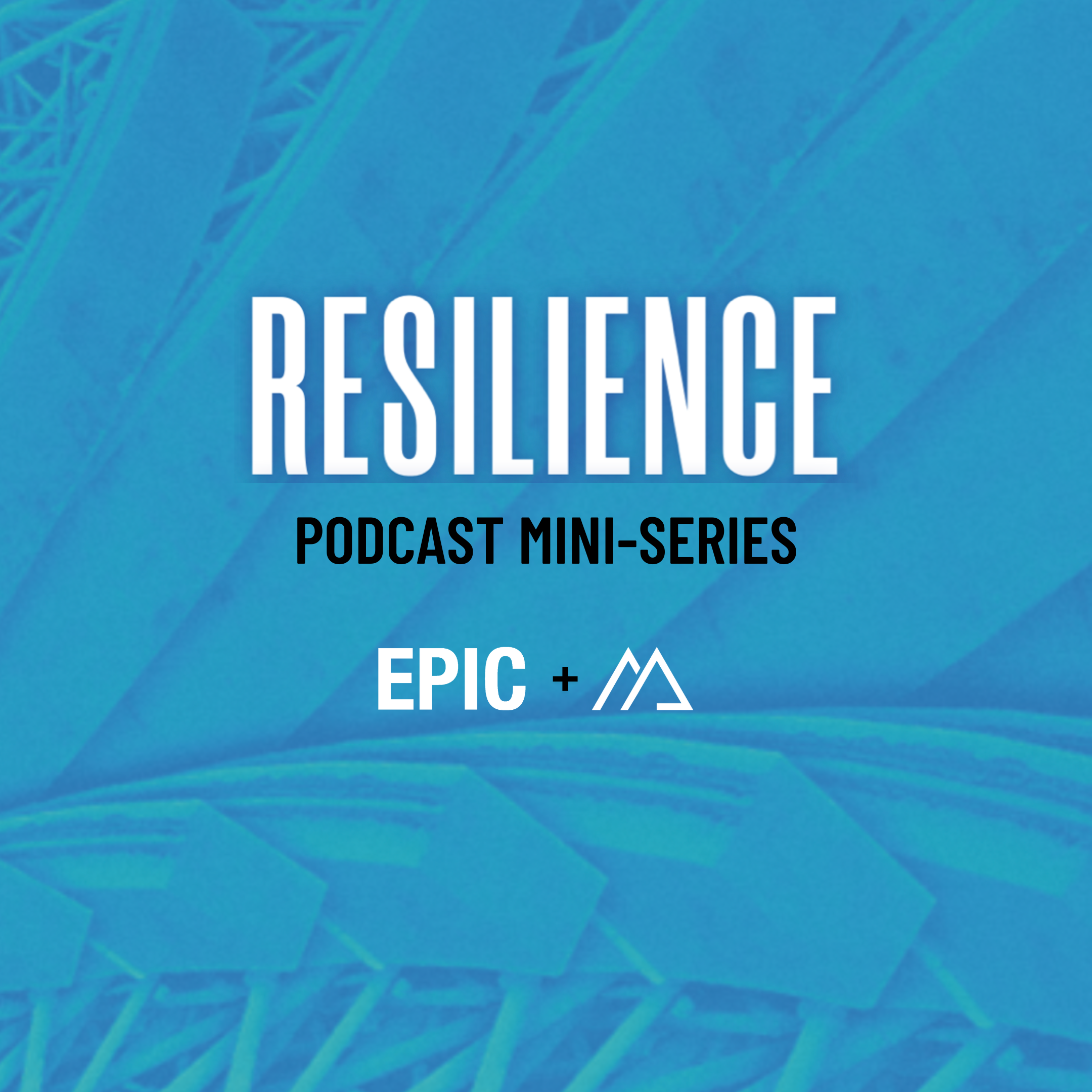 Debating Resilience