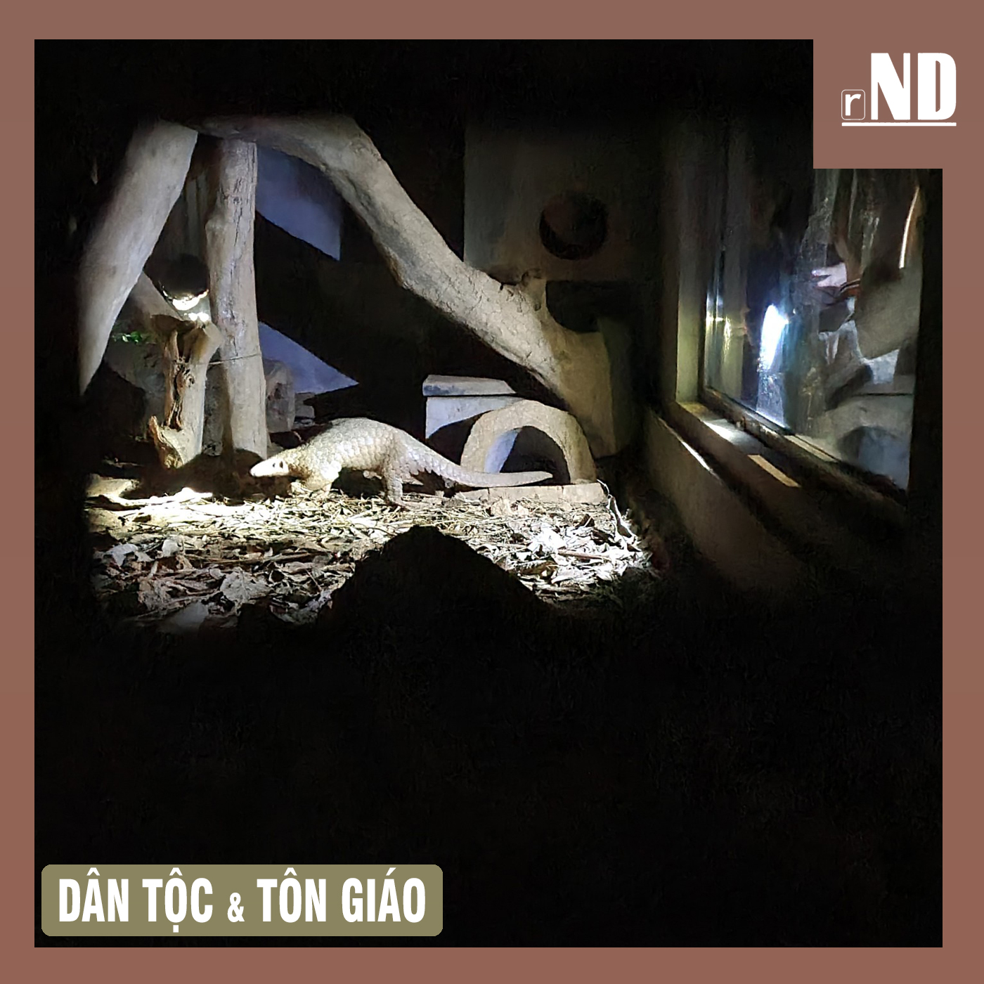 RADIO NHÂN DÂN