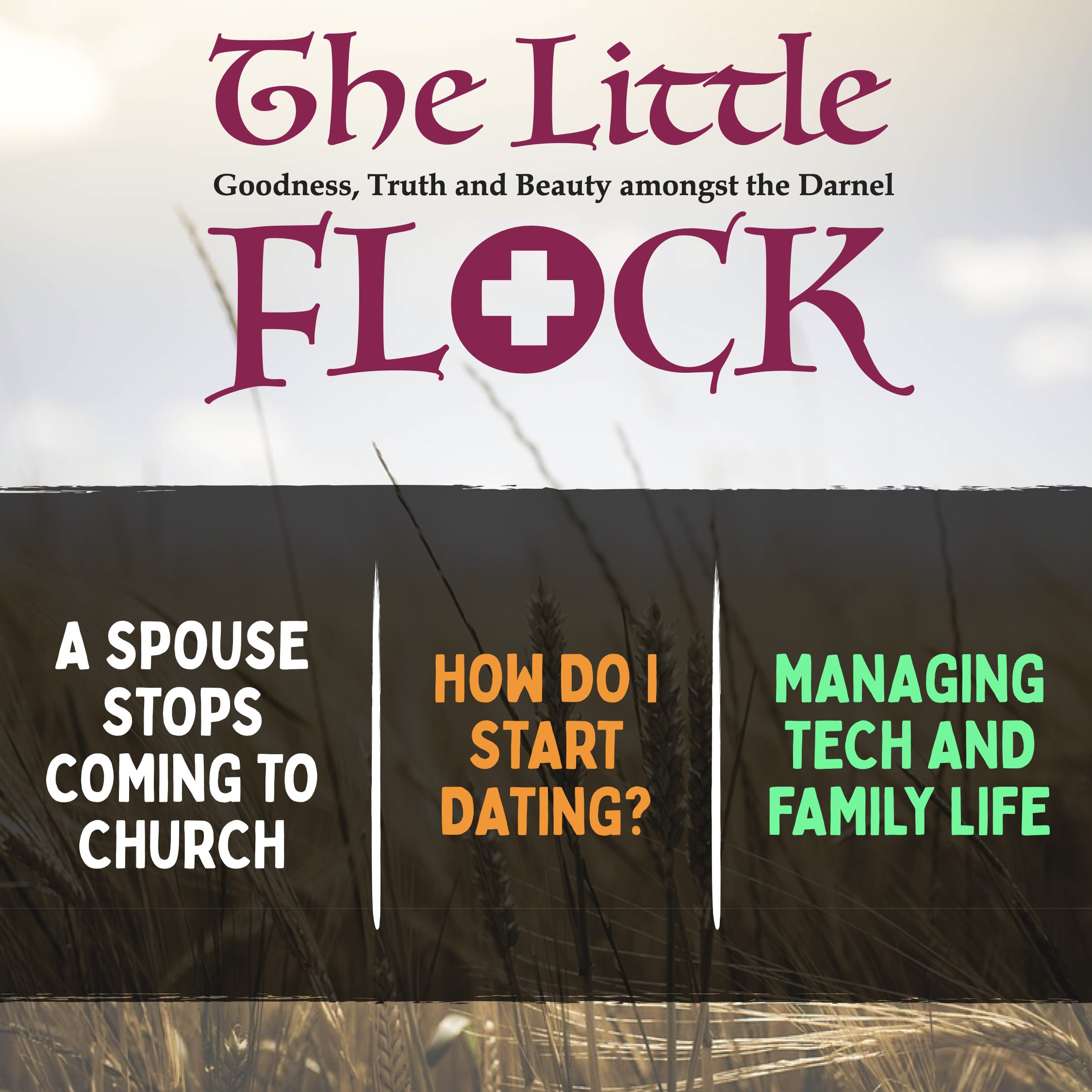 4. A Spouse Stops Coming to Church, How to Start a Relationship, Technology and Family Life