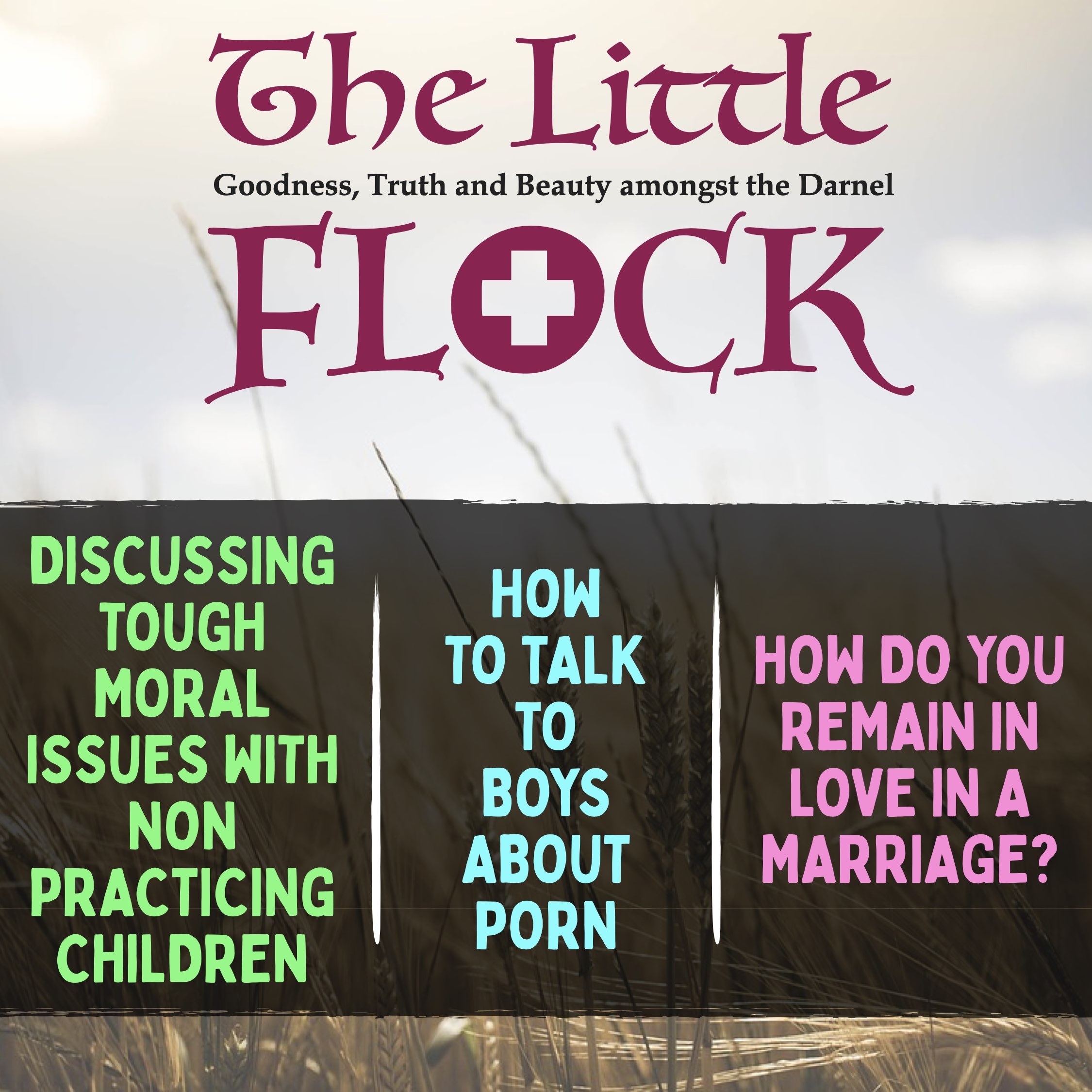 5. Discussing Tough Moral Issues with Non-Practicing Children, How to Talk to Boys About Porn, How do you Remain in Love?
