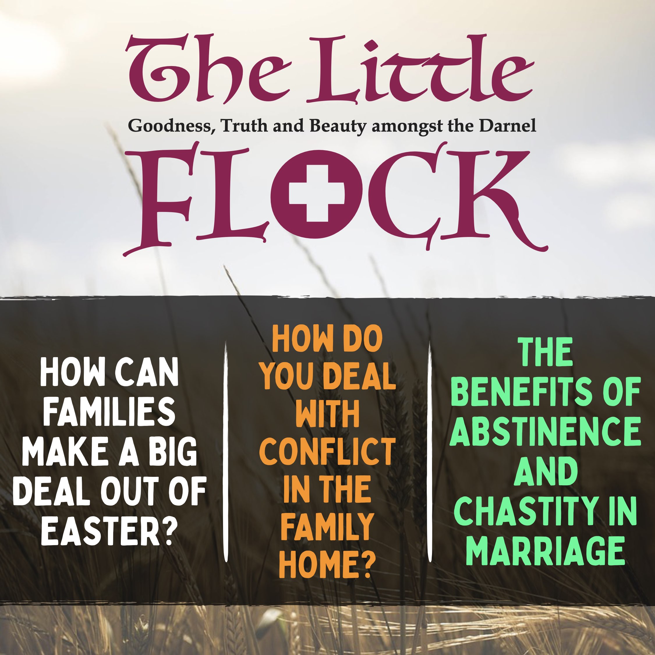 9. How do families make a big deal of Easter? How do deal with conflict? The benefits of abstinence in a marriage