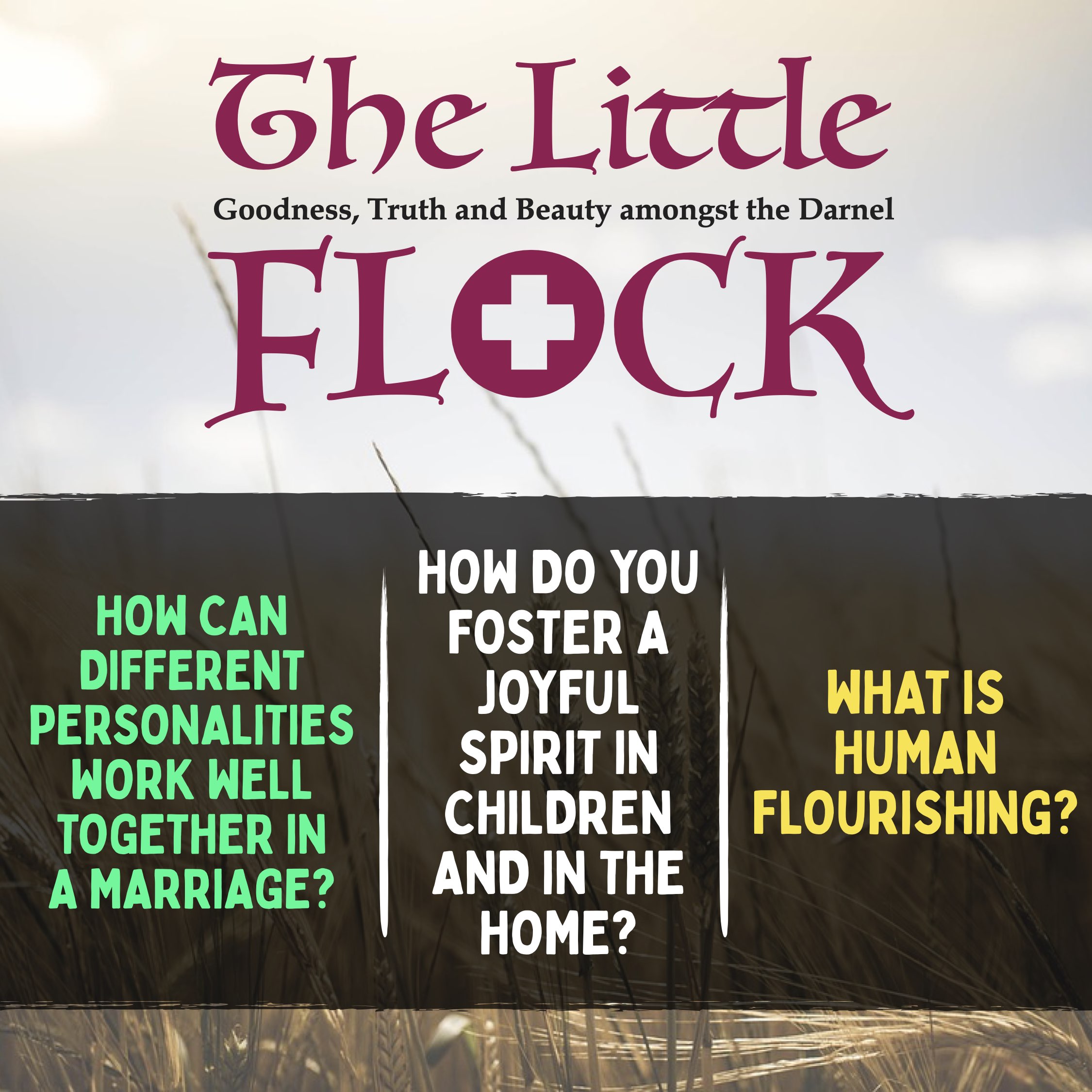 11. How do you foster a joyful spirit in children and in the home? What is human flourishing? How can different personalities work well together in a marriage?