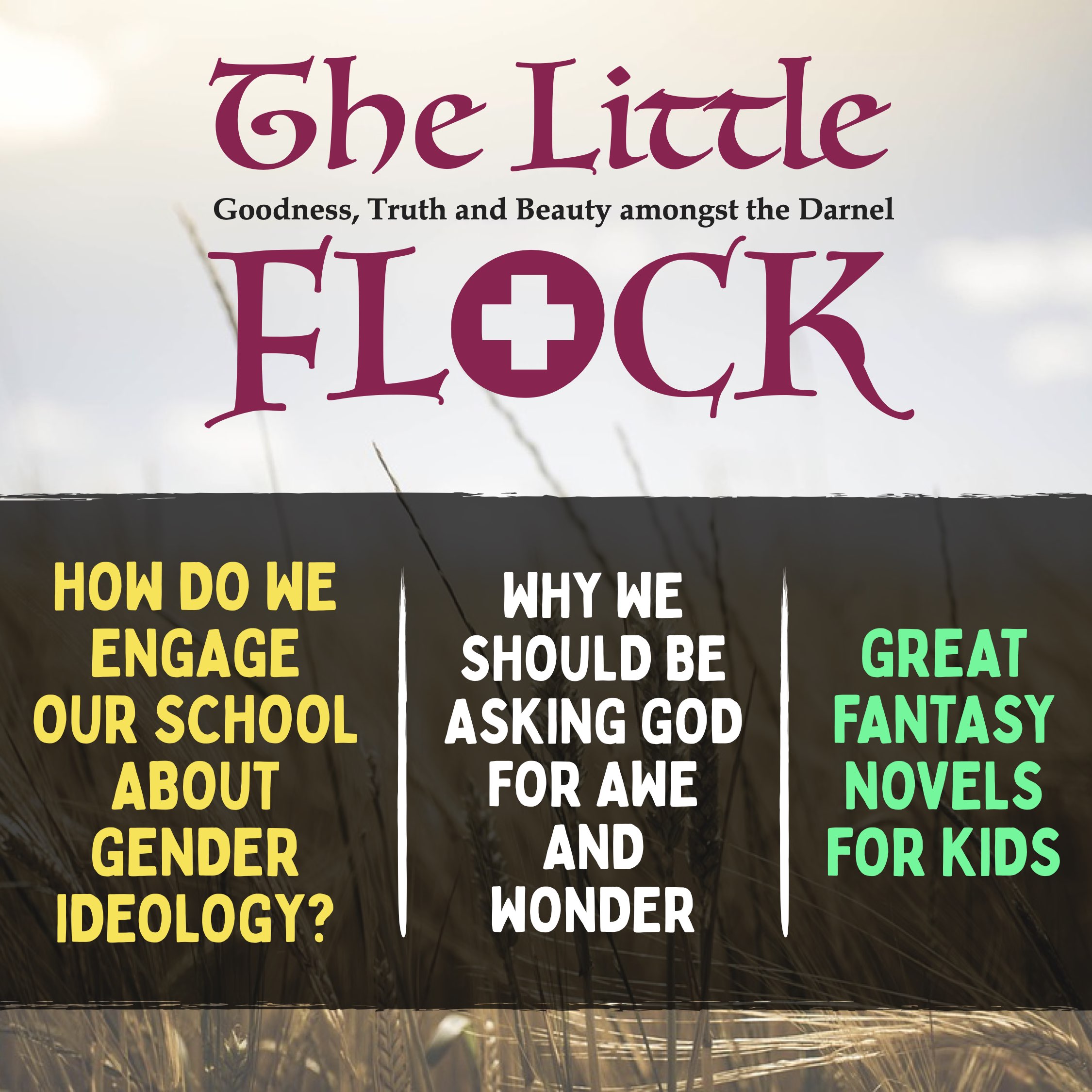 12. Why has the Christian Church lost relevance to our teenagers? How do we engage with schools about gender ideology? Should Christians be involved in politics?