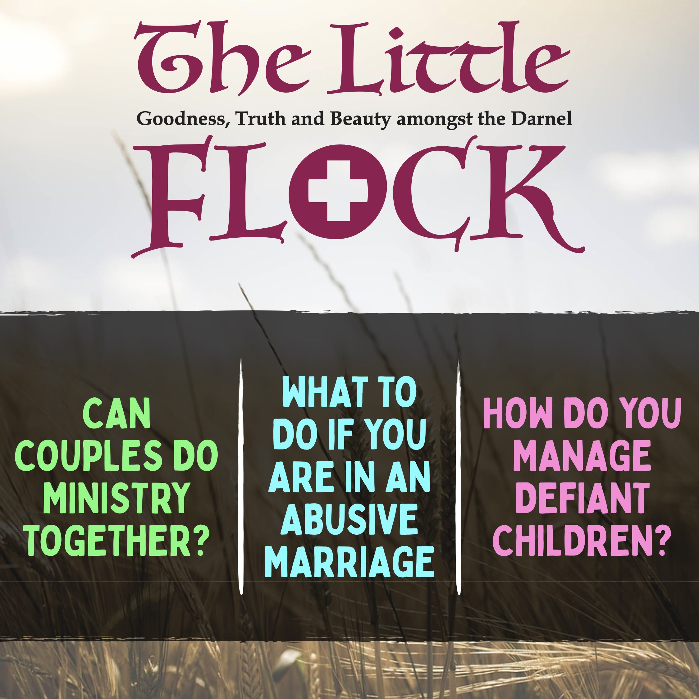 2. Abusive Spouses, Couples in Ministry, Defiant Children, and Christmas!