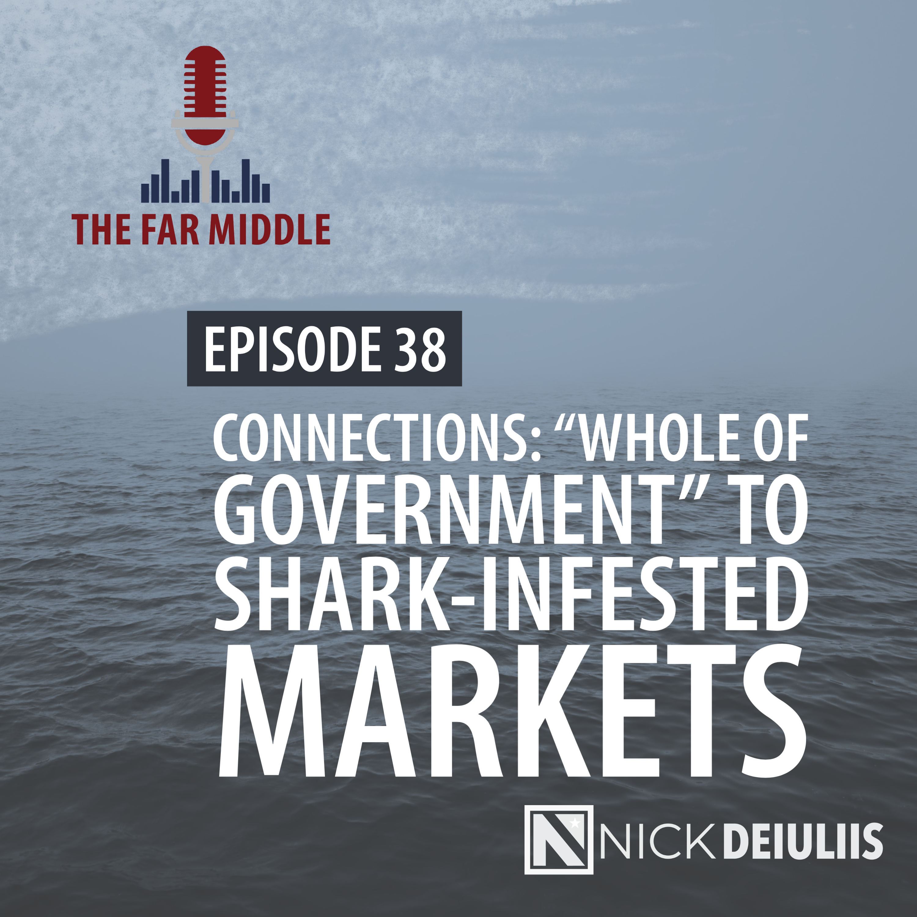 Connections: “Whole of Government” to Shark-Infested Markets