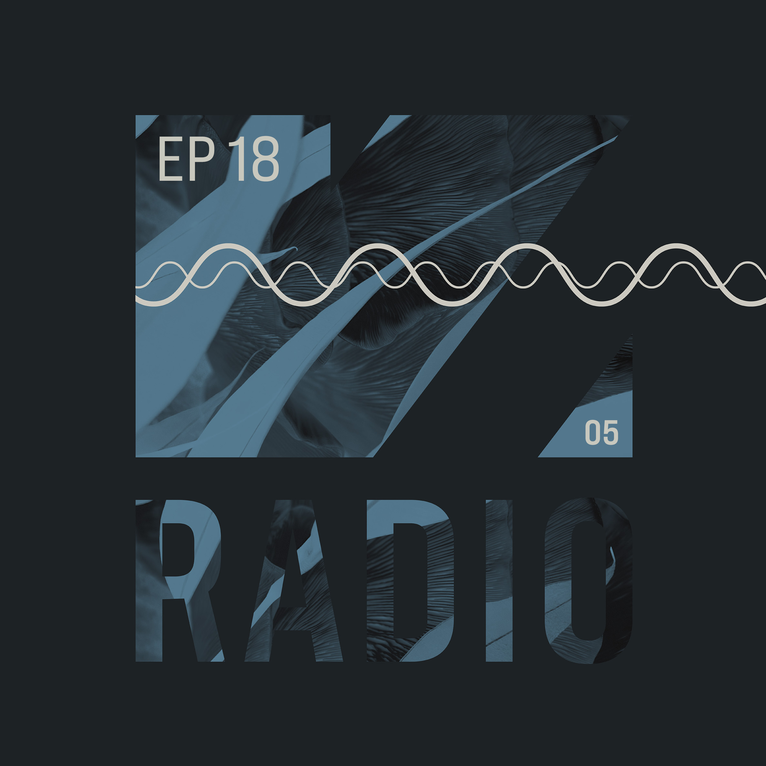 VISION Radio S05E18
