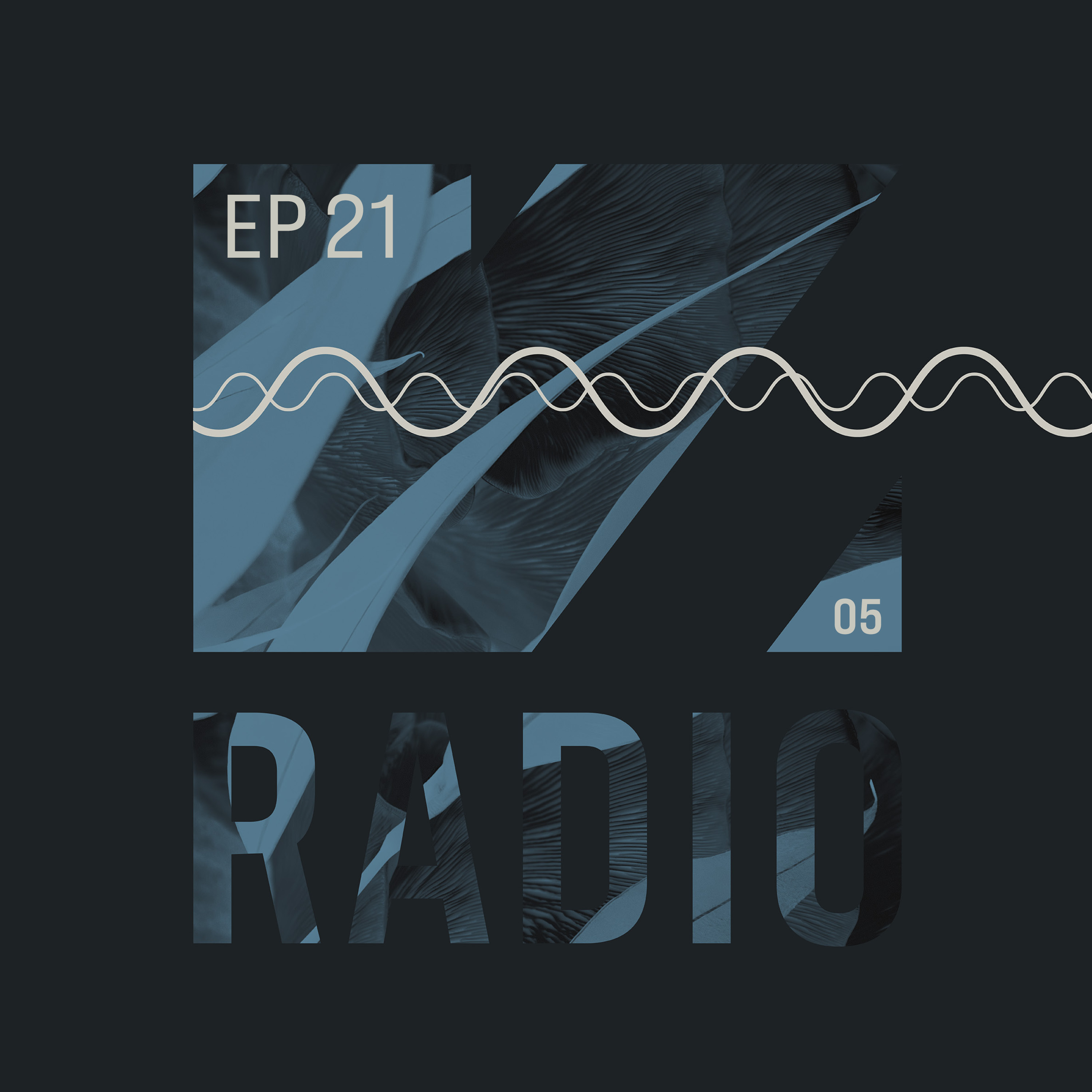 VISION Radio S05E21