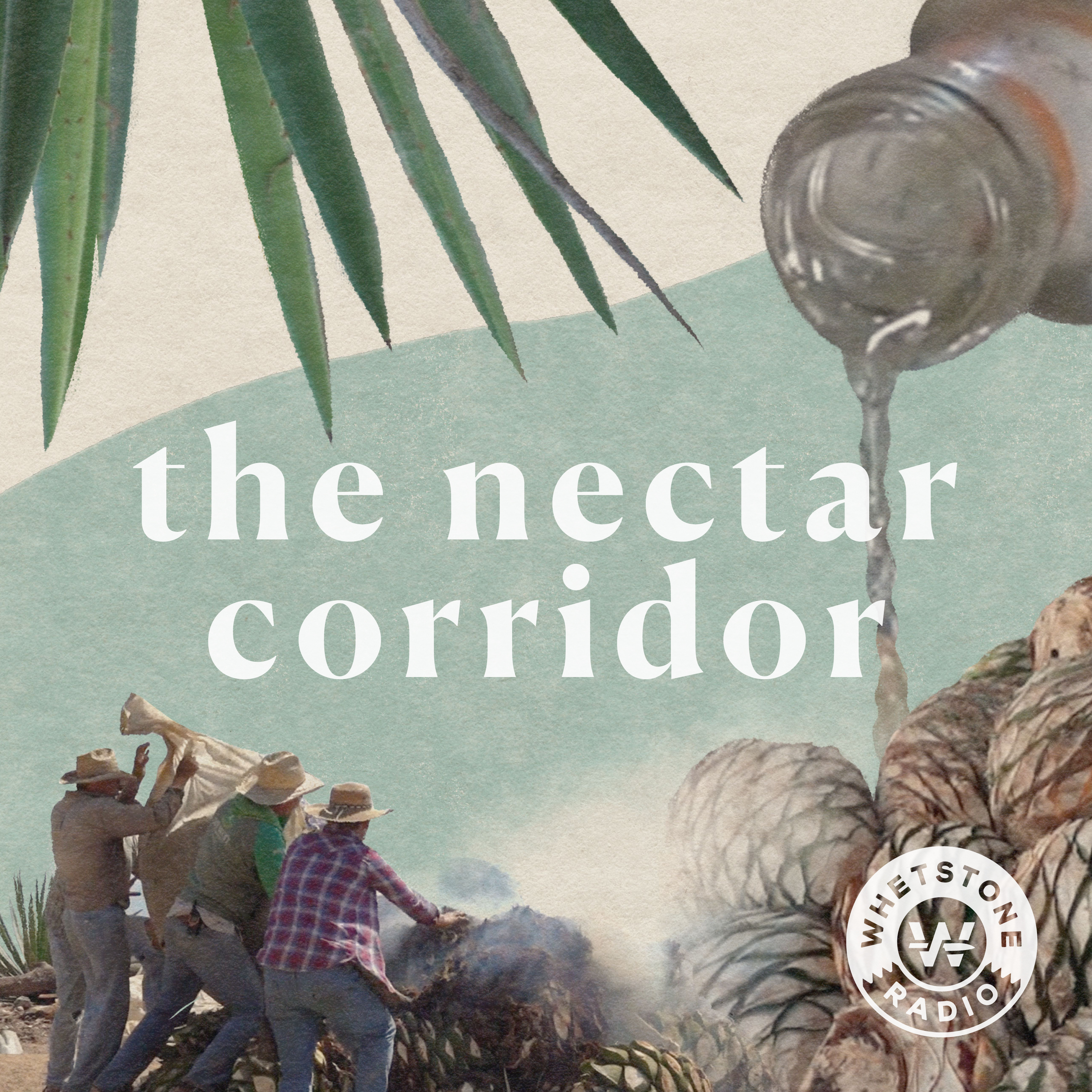 Artwork for podcast The Nectar Corridor
