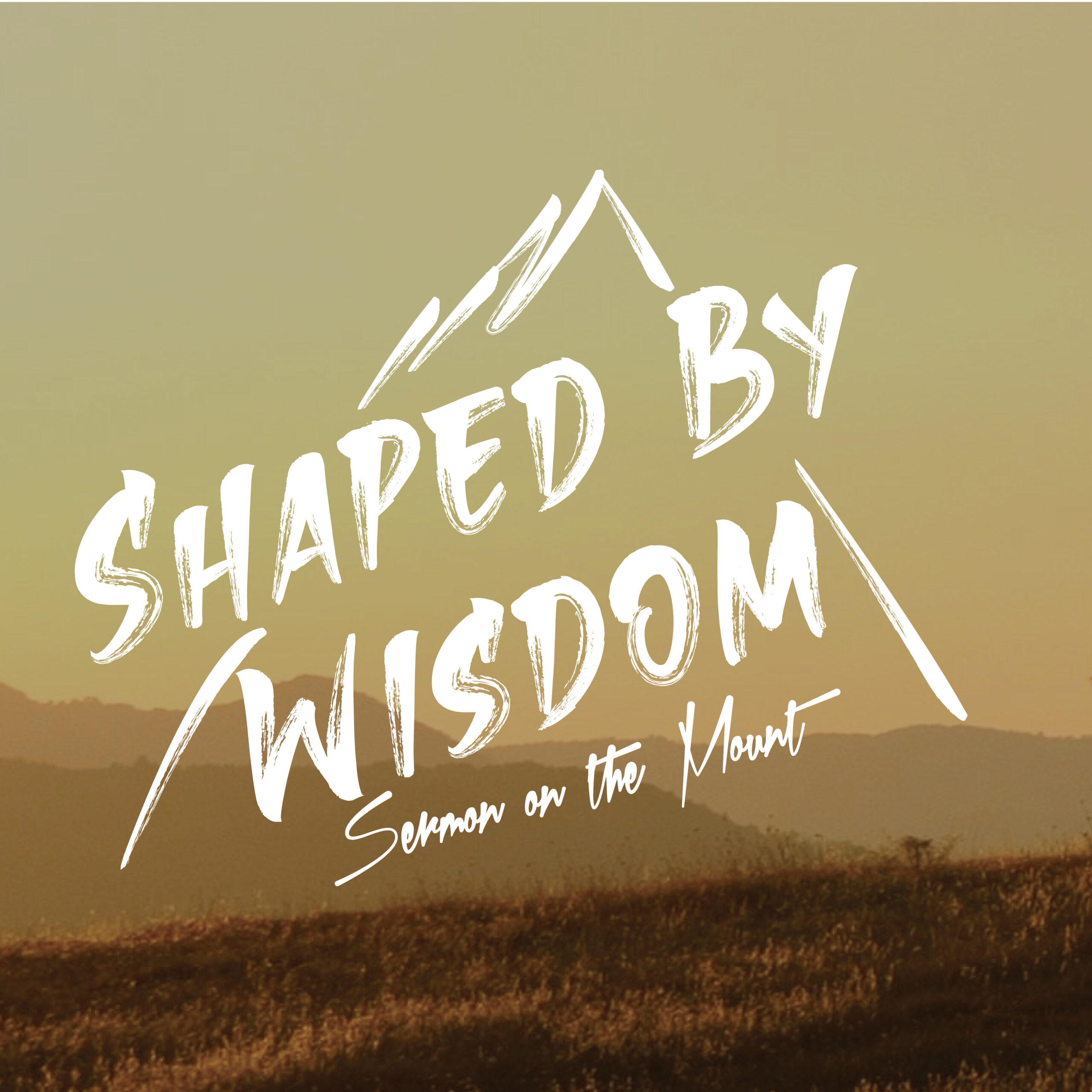 Shaped by Wisdom