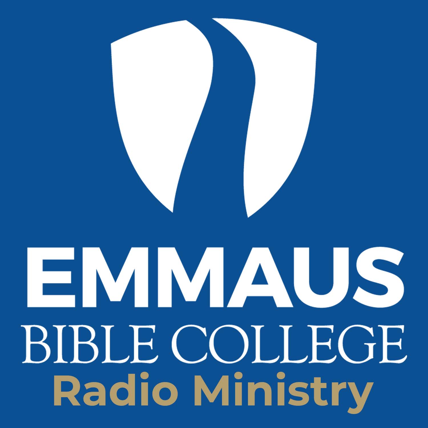 Matthew 25: 31-46 - Bruce Henning "Sheep, Goats, and Brothers" (Episode 60)