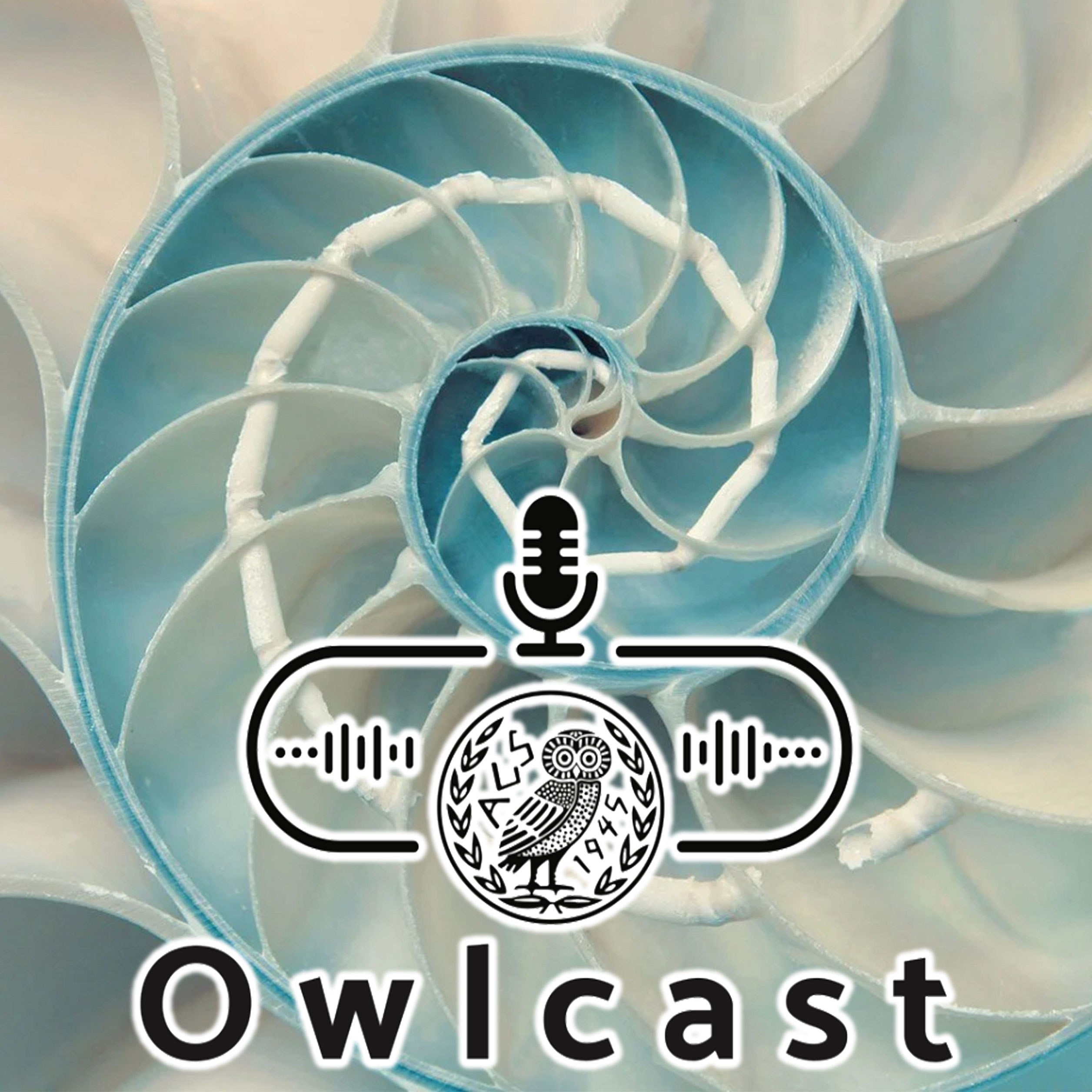 Owlcast 91 - The Innovation Lab of the Institute's Future Academy