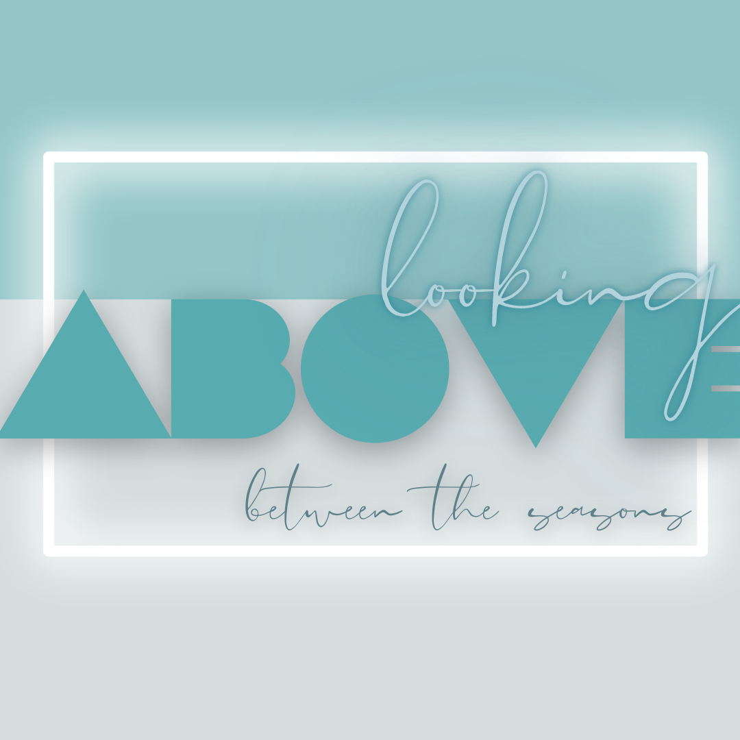 Looking above - Episode 34 - Between the Seasons - Dear Younger Me...Life Wisdom