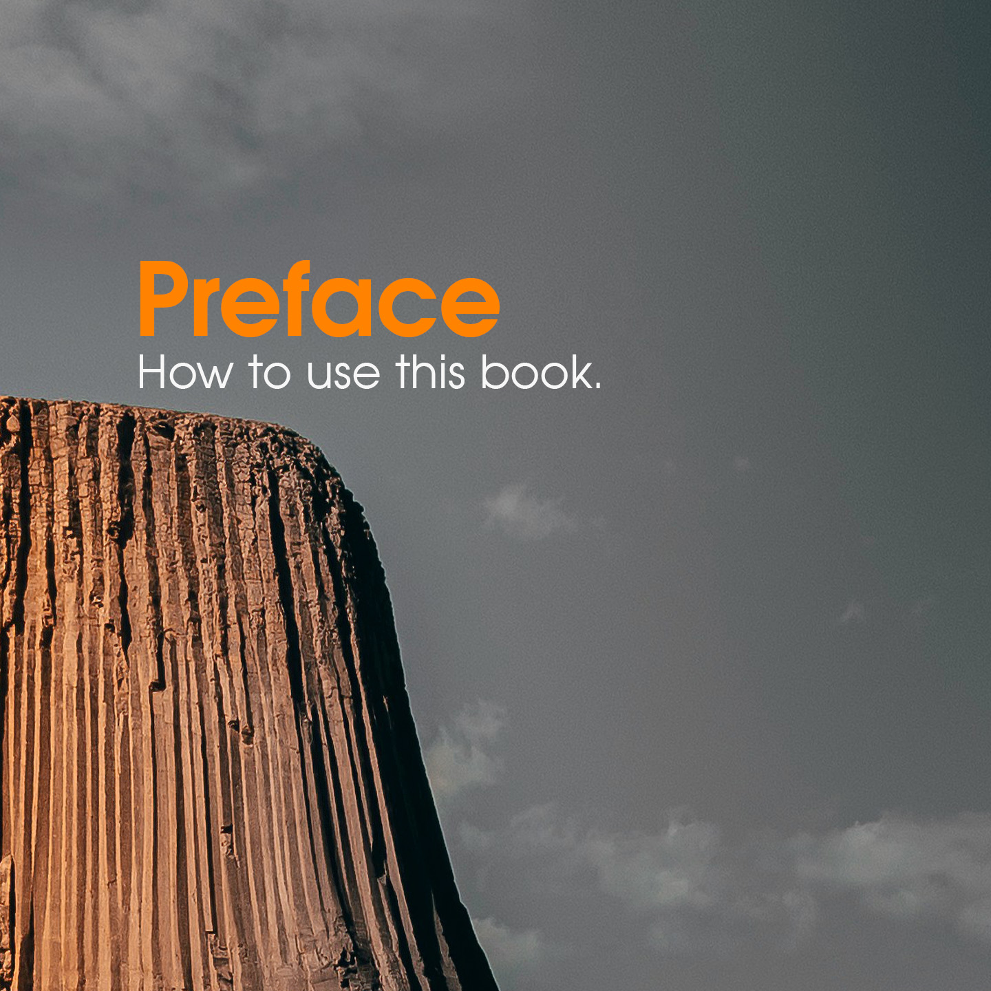 Preface: How to use this book
