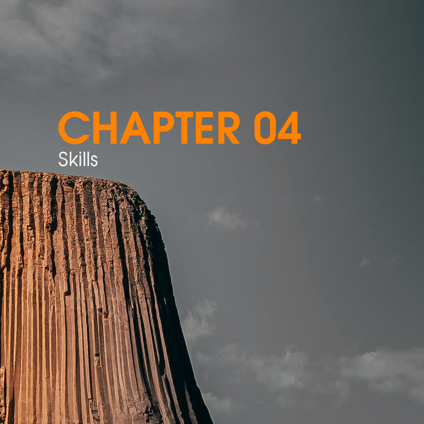 Chapter 04: Skills