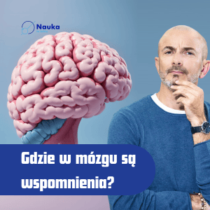 Dlaczego zapominamy i jak temu zaradzić? - Kurs Efektywnego Zapamiętywania #2