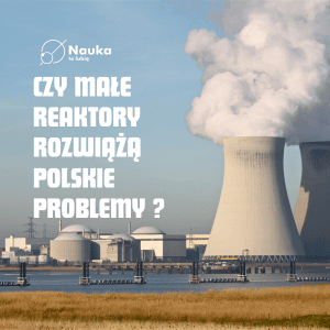 Czy małe reaktory rozwiążą polskie problemy ?