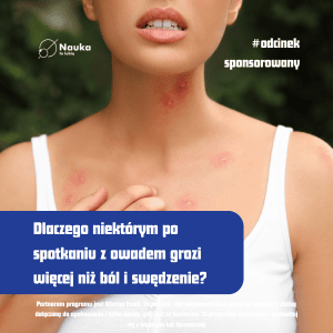 Od jadu do reakcji – kto puchnie, a kto nie?