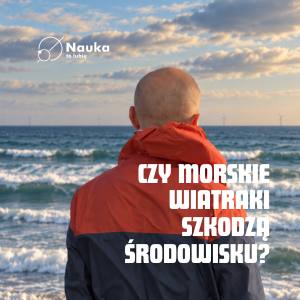 Czy wielka farma wiatrowa może powstać na morzu bez szkody dla jego mieszkańców?
