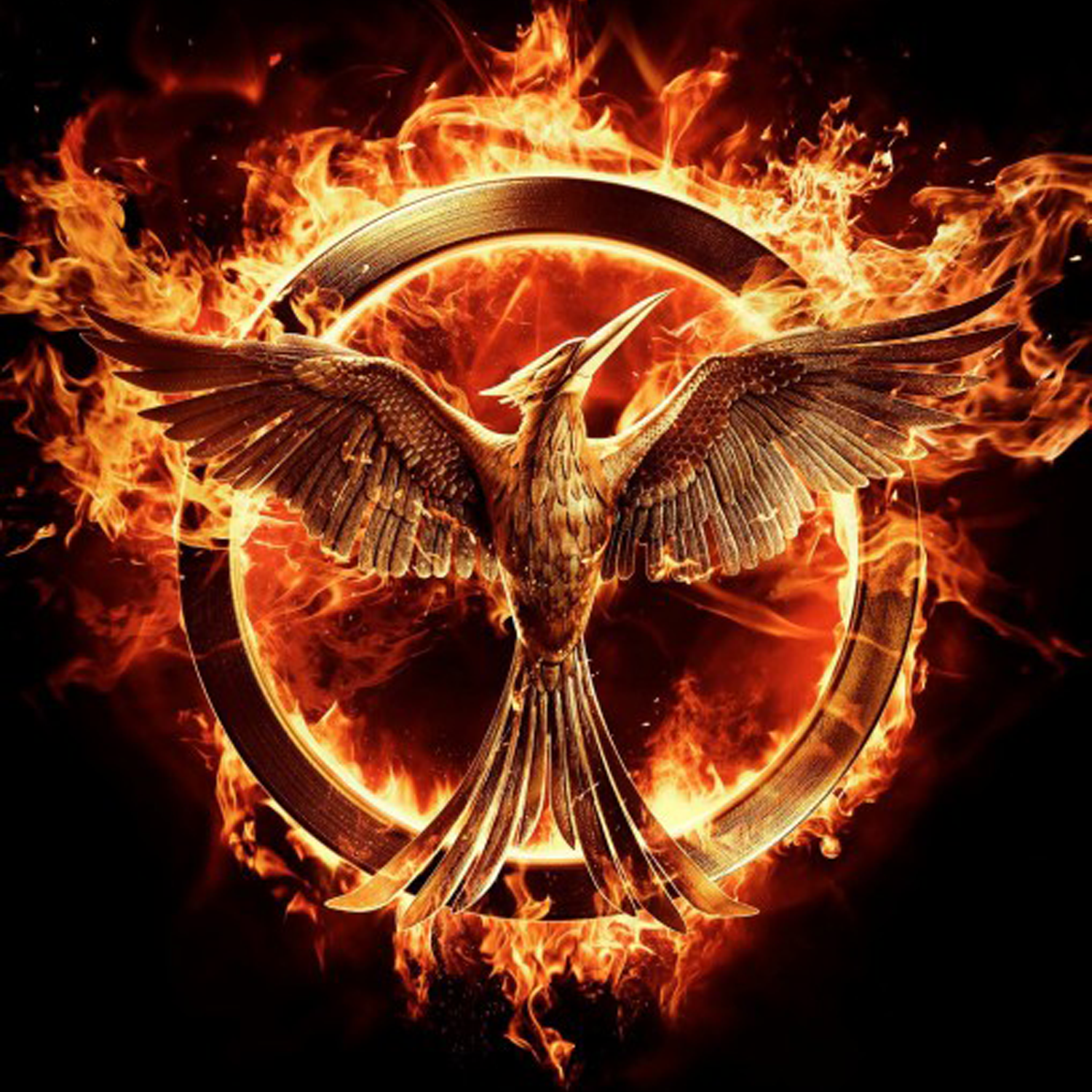 The Hunger Games: Mockingjay Pt 1 (2014)