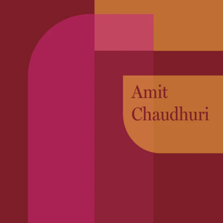 Teaser: The Fringes of Story with Amit Chaudhuri
