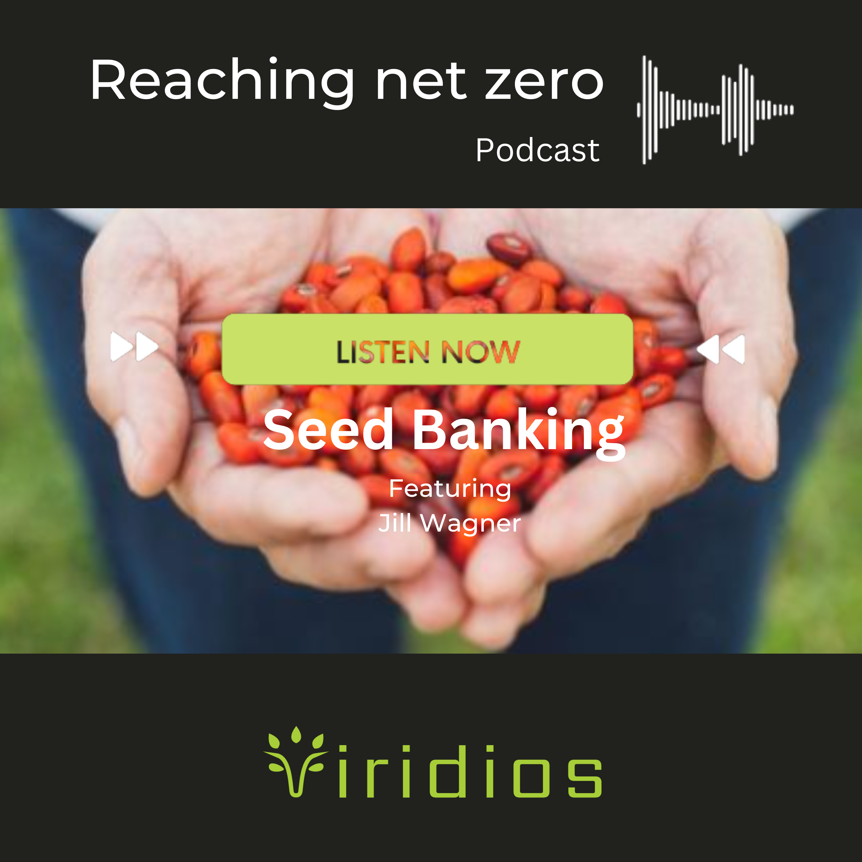 Seed banking with Jill Wagner