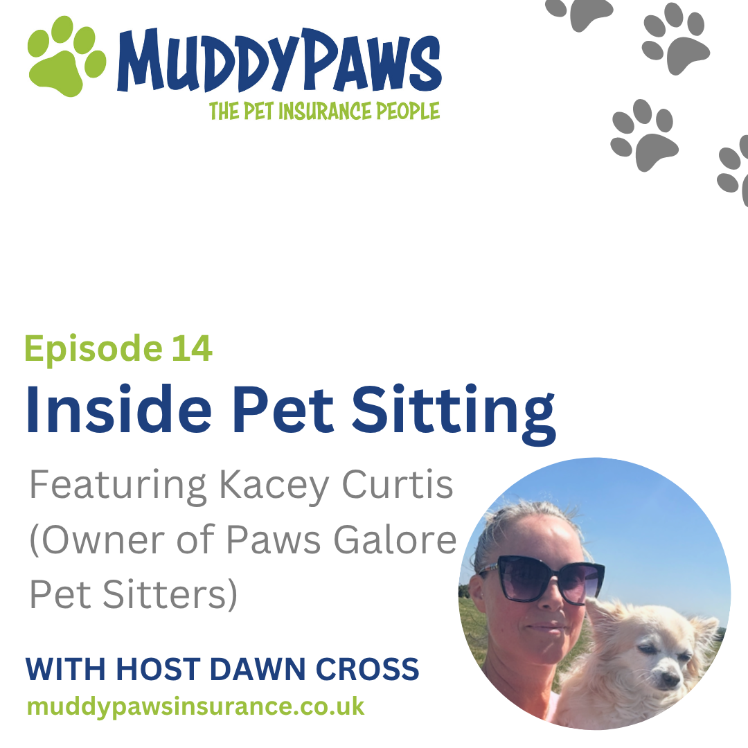 Inside Pet Sitting