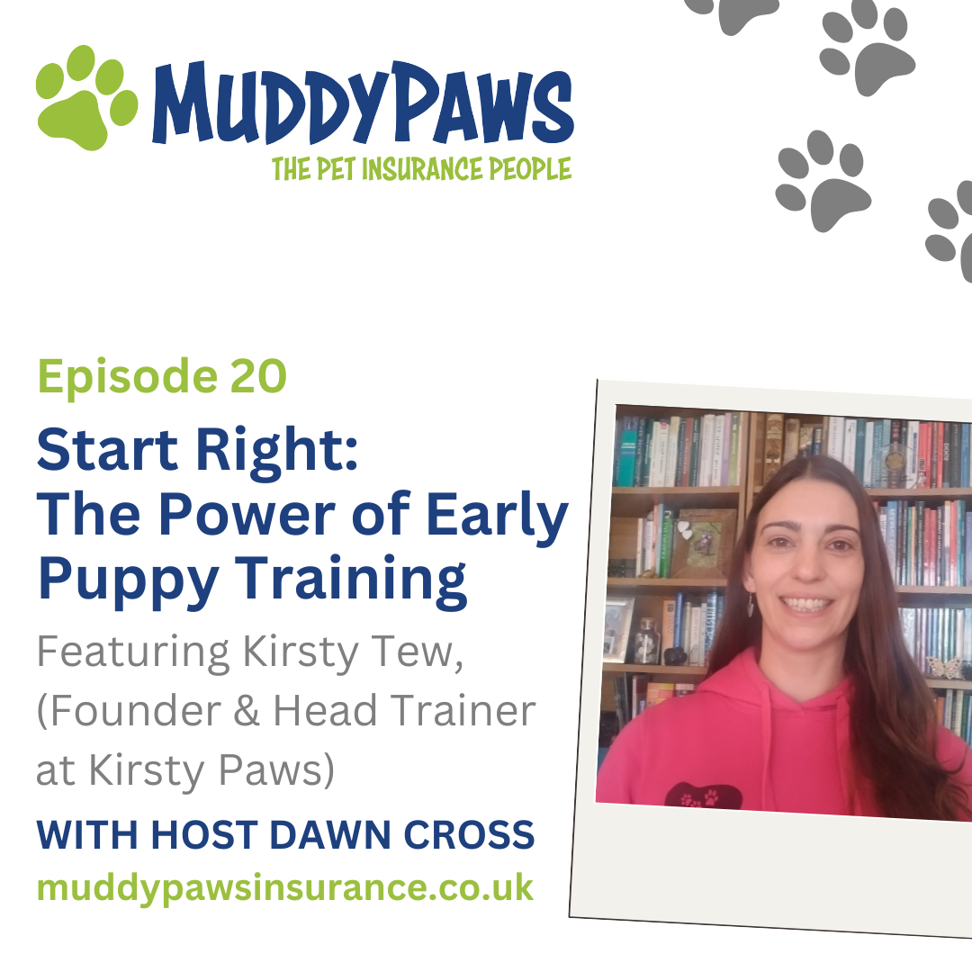 Start Right: The Power of Early Puppy Training