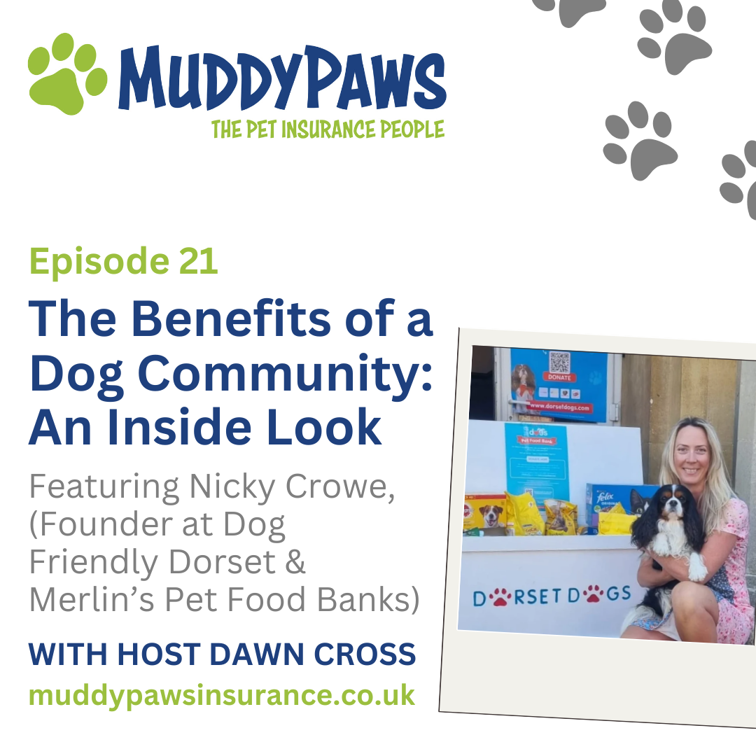 The Benefits of a Dog Community: An Inside Look into Dog Friendly Dorset