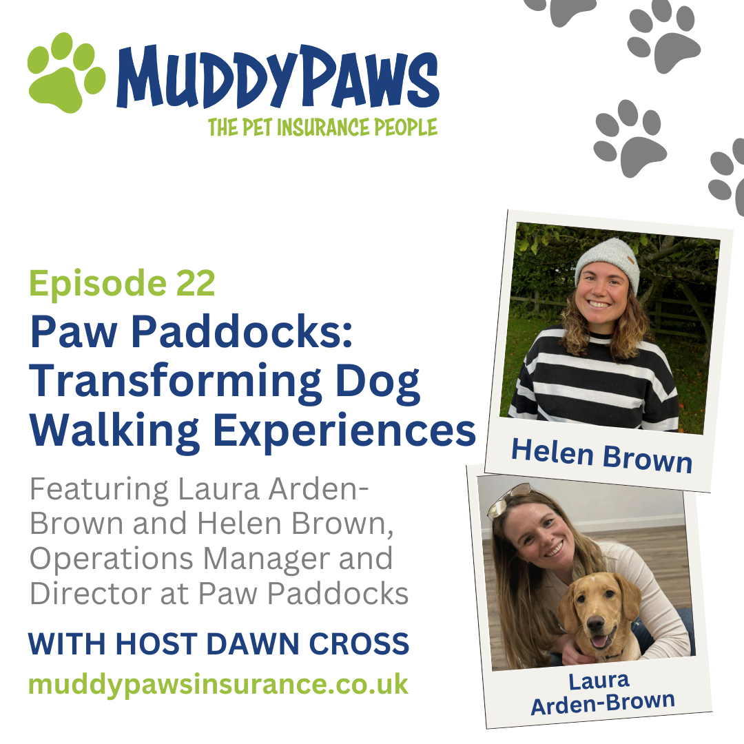 Paw Paddock: Transforming Dog Walking Experiences