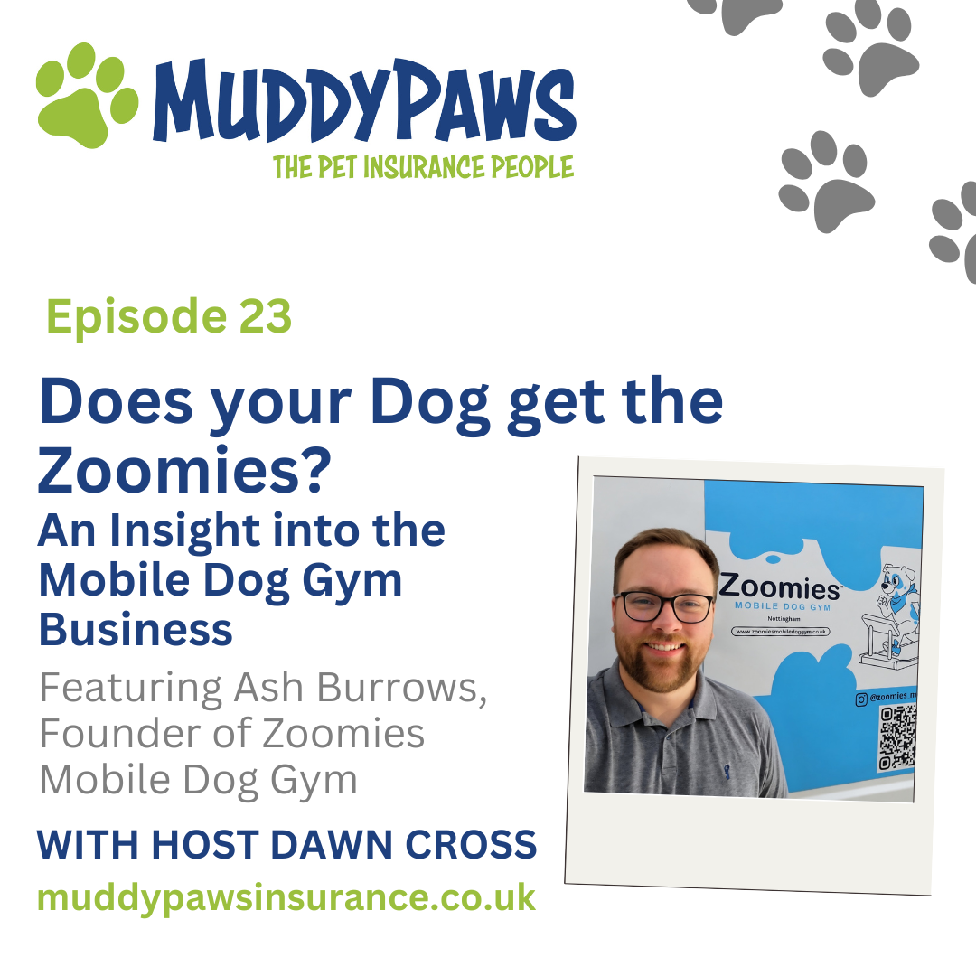 Does your Dog get the Zoomies? episode artwork