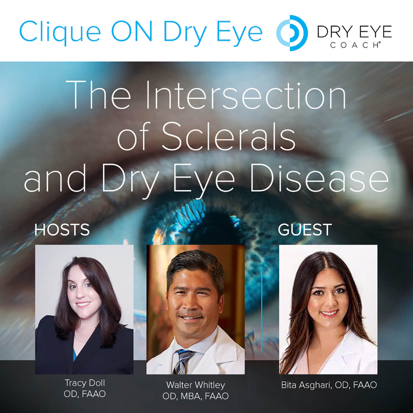 The Intersection of Sclerals and Dry Eye Disease