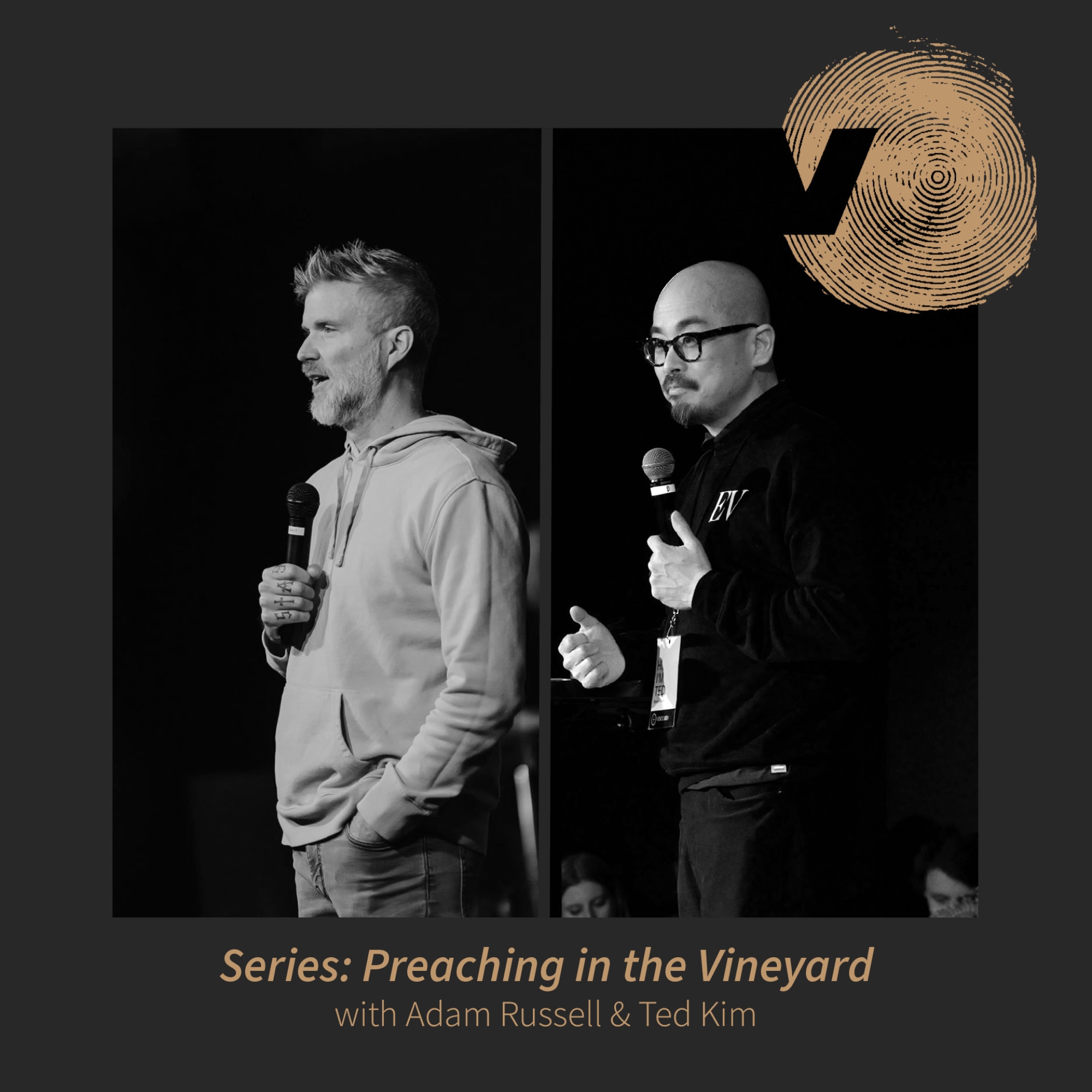 Preaching In The Vineyard: Finding Your Voice