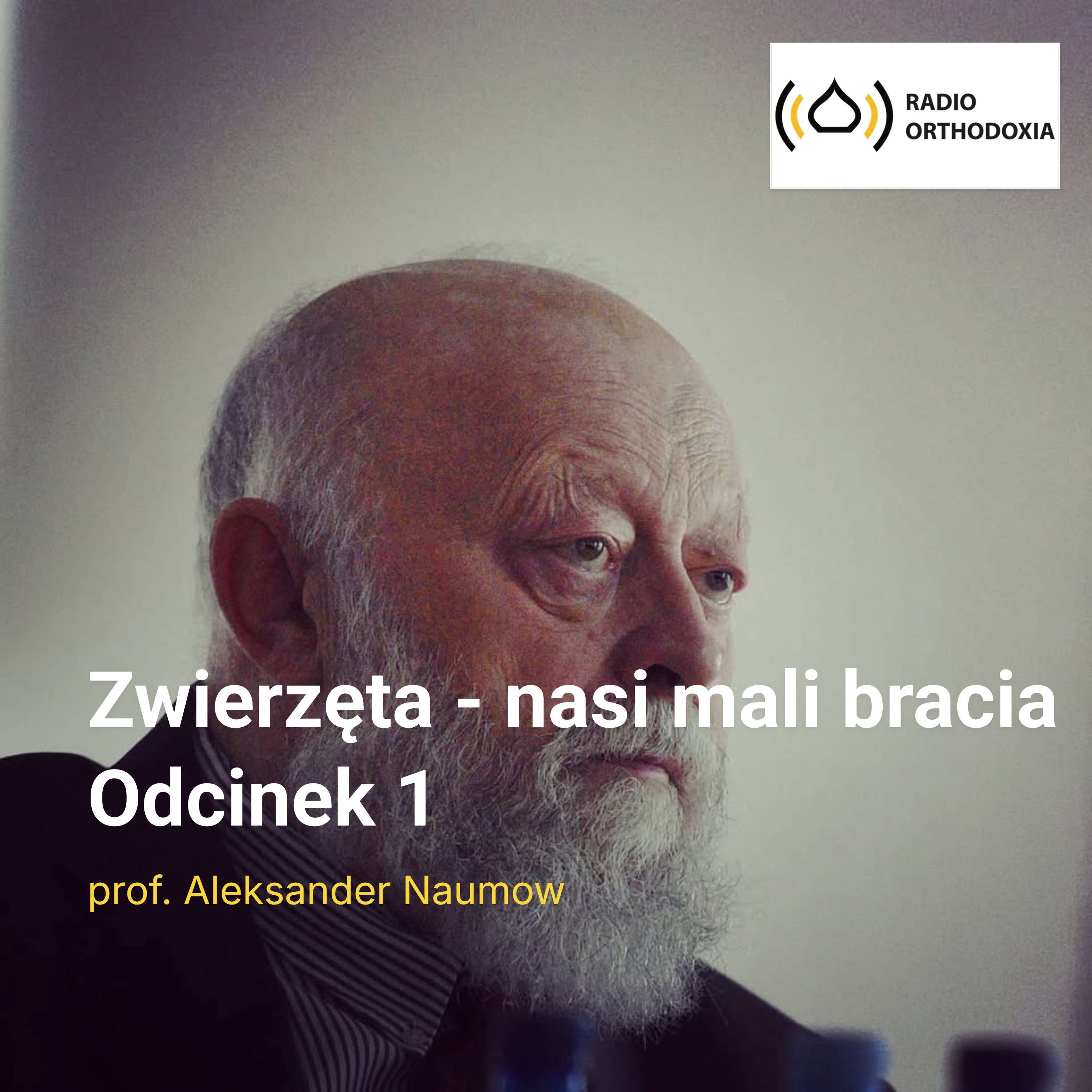 Świat zwierząt - zwierzęta w naszej modlitwie.