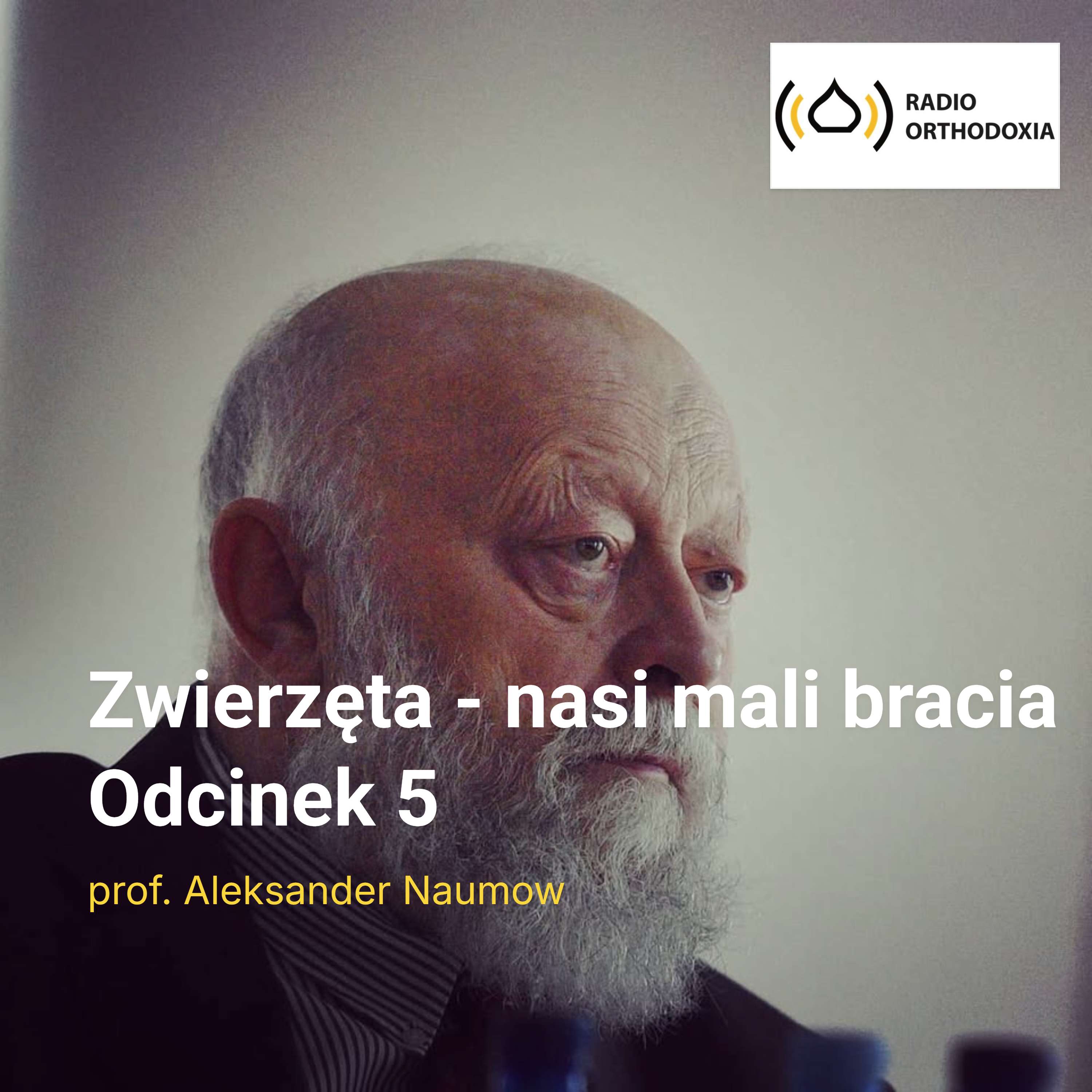 Odcinek 5. Zwierzęta w tradycji Ojców Kościoła