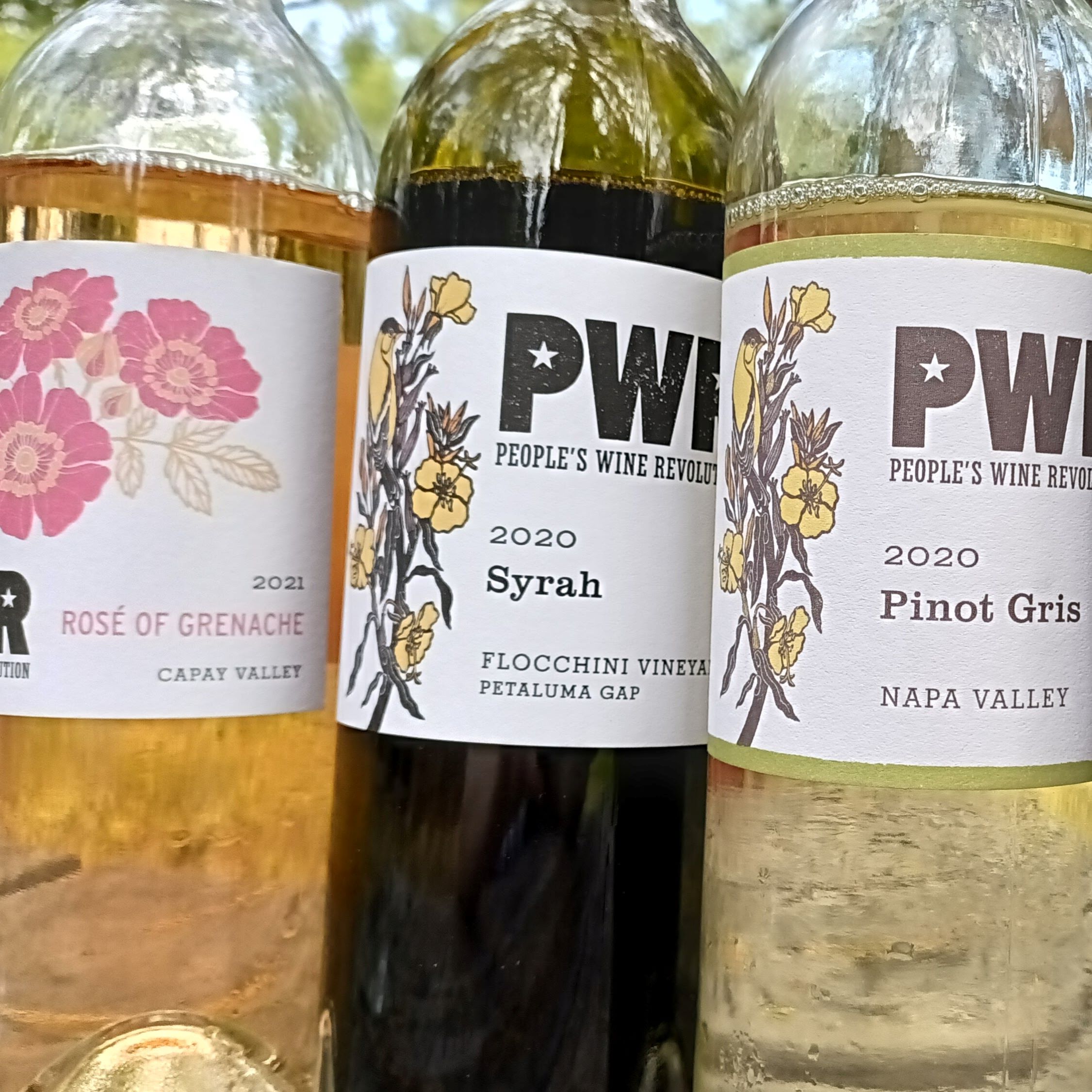 Matt Reid (PWR Wines) and the Secrets Behind Boutique Winemaking