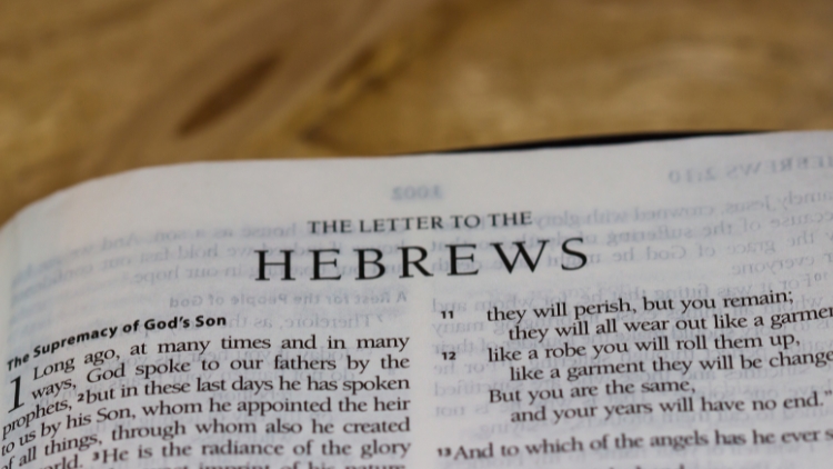 MEDITATION ON HEBREWS 12