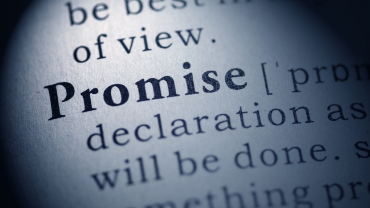 THE PREMISE OF THE PROMISE