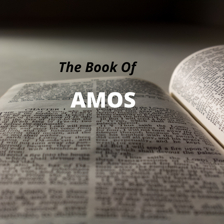 AMOS (PART 2)