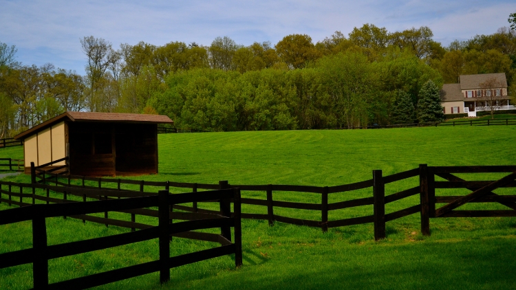 A STABLE ENVIRONMENT