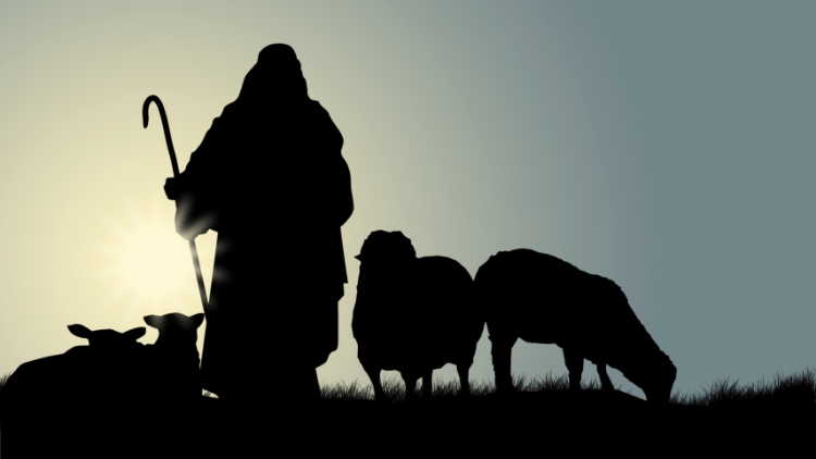 HOW TO PRAY FOR SHEPHERDS