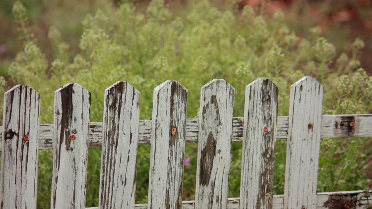 FENCES AND FREEWAYS