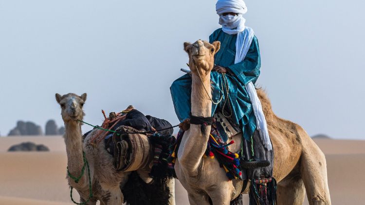 RIDING THE CAMELS