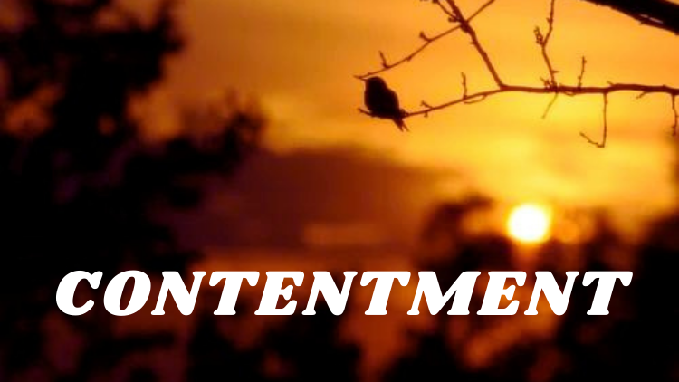 CONTENTMENT PART 3